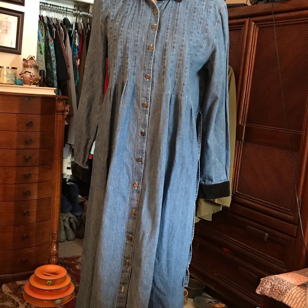A jean dress size 10 women's.